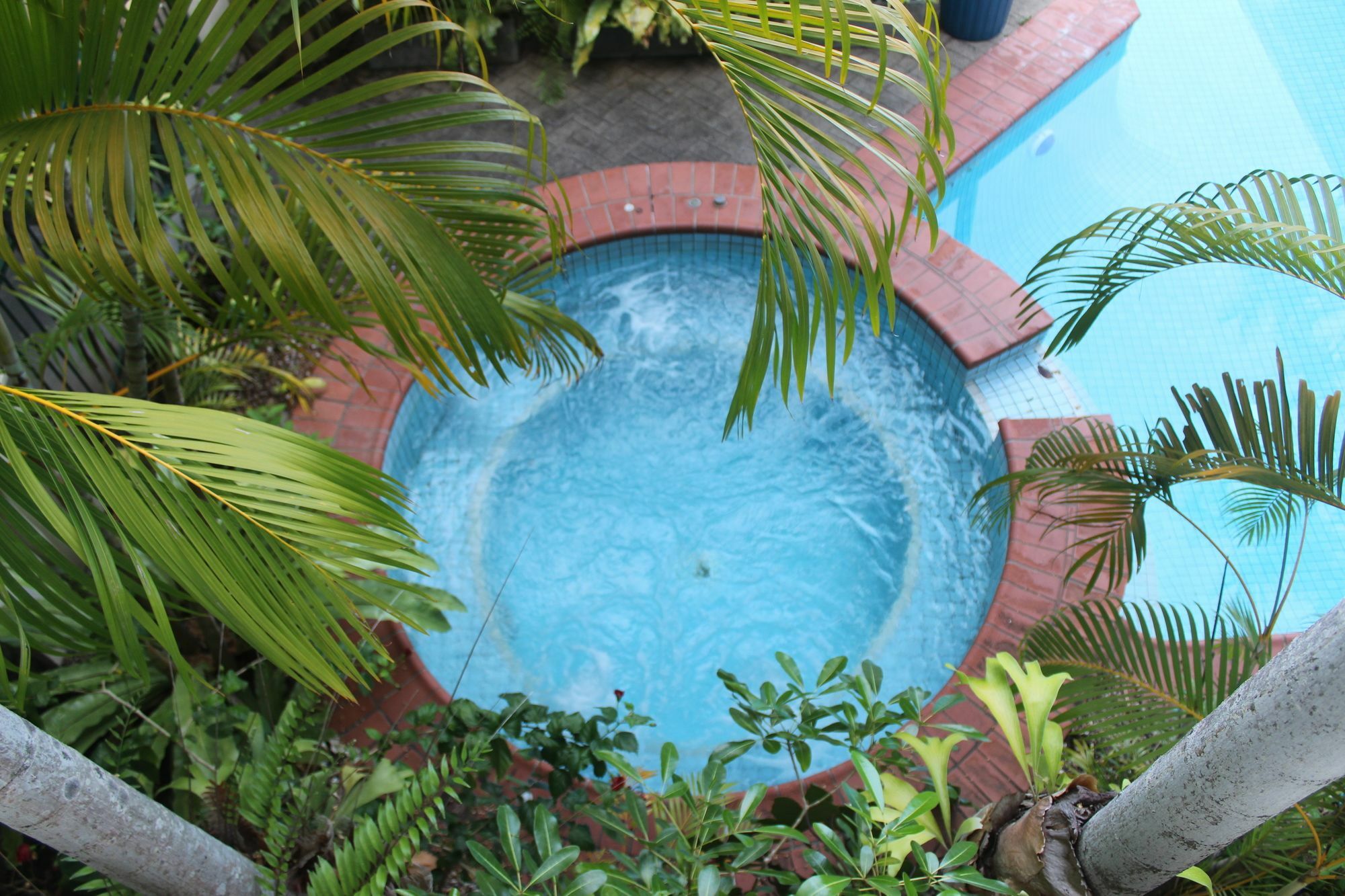 Crystal Garden Resort & Restaurant Cairns Dış mekan fotoğraf